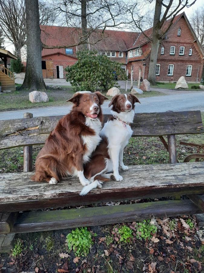 Appartamento Roehrshof Bispingen Esterno foto