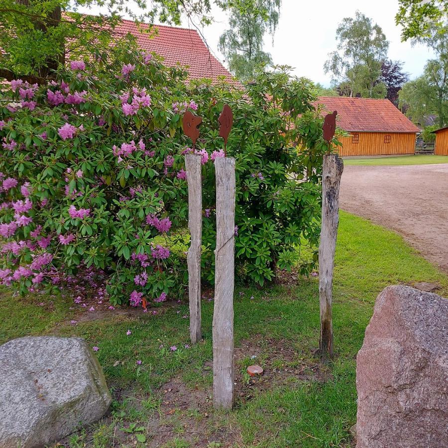 Appartamento Roehrshof Bispingen Esterno foto