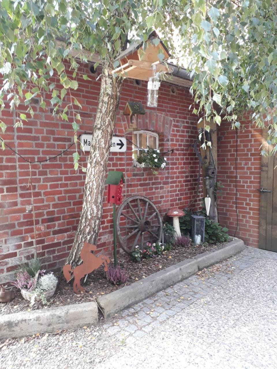 Appartamento Roehrshof Bispingen Esterno foto